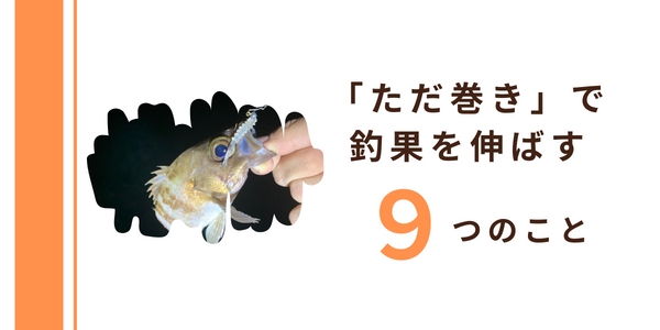 メバリングでのただ巻きで釣果を伸ばすためのポイントを9つ紹介しております