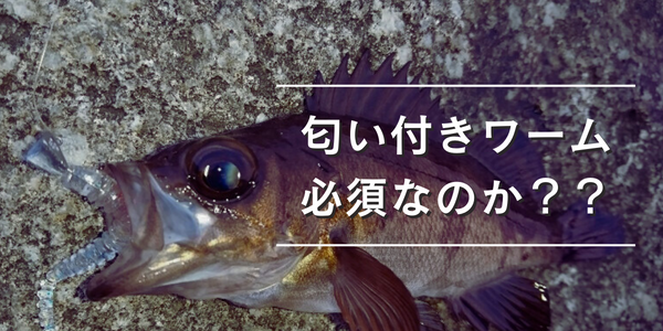 メバリングにおいて匂いがあるワームは必須なのか？を解説しています