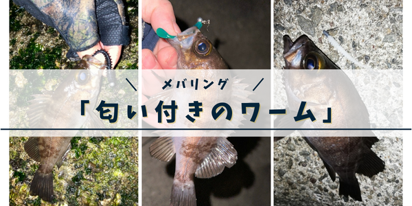 メバリングにおける「ワームの匂い」について、より具体的にお話しています