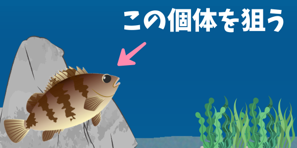 真っ暗でのメバリングは広く狙うのではなく、ストラクチャーについてメバルを狙っていく