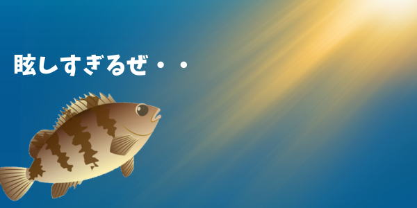 闇夜でのメバリングでは、ヘッドライトの明かりなどに気をつけよう